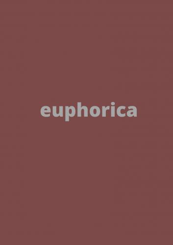 Essência Euphoria Feminino